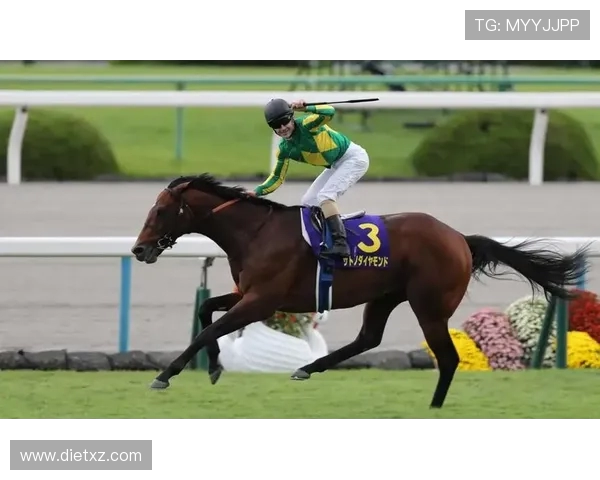 刚劲力登顶菊花赏!李慕华铸就三连冠传奇 刚劲力登顶菊花赏!李慕华铸就三连冠传奇